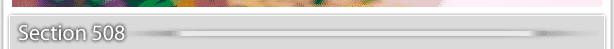 Section 508